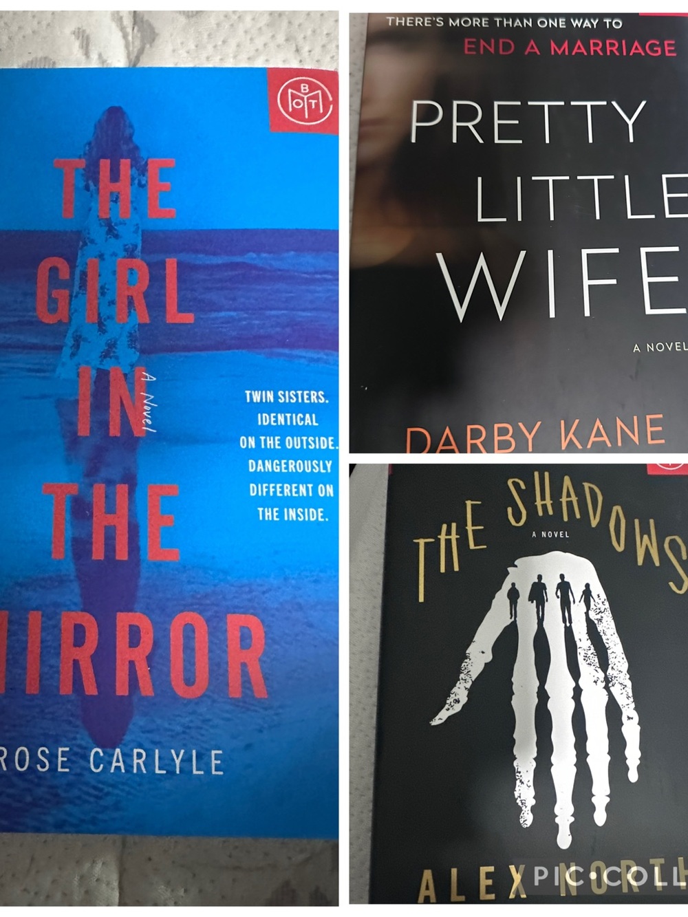 Book of the Month BOTM Thriller Mystery Hardcover 3 Book Bundle